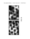 Rare Cell Analysis Using Sample Splitting And DNA Tags diagram and image