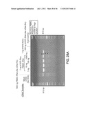 Rare Cell Analysis Using Sample Splitting And DNA Tags diagram and image