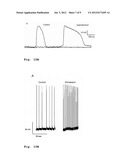 SPONTANEOUSLY CONTRACTING FISH CELL AGGREGATES, USE THEREOF AND METHOD FOR     THE PRODUCTION THEREOF diagram and image