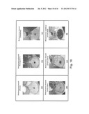 EXTRACTION OF EXTRACELLULAR TERPENOIDS FROM MICROALGAE COLONIES diagram and image