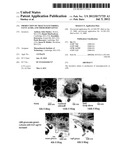 PRODUCTION OF TRIACYLGLYCERIDES, FATTY ACIDS, AND THEIR DERIVATIVES diagram and image