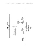 PRODUCTION OF TRIACYLGLYCERIDES, FATTY ACIDS, AND THEIR DERIVATIVES diagram and image