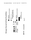 PRODUCTION OF TRIACYLGLYCERIDES, FATTY ACIDS, AND THEIR DERIVATIVES diagram and image