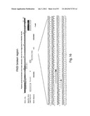 PRODUCTION OF TRIACYLGLYCERIDES, FATTY ACIDS, AND THEIR DERIVATIVES diagram and image