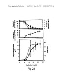 PRODUCTION OF TRIACYLGLYCERIDES, FATTY ACIDS, AND THEIR DERIVATIVES diagram and image