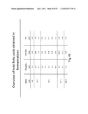 PRODUCTION OF TRIACYLGLYCERIDES, FATTY ACIDS, AND THEIR DERIVATIVES diagram and image