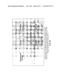 PRODUCTION OF TRIACYLGLYCERIDES, FATTY ACIDS, AND THEIR DERIVATIVES diagram and image