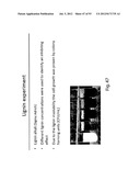 PRODUCTION OF TRIACYLGLYCERIDES, FATTY ACIDS, AND THEIR DERIVATIVES diagram and image