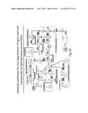 PRODUCTION OF TRIACYLGLYCERIDES, FATTY ACIDS, AND THEIR DERIVATIVES diagram and image