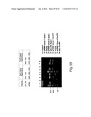 PRODUCTION OF TRIACYLGLYCERIDES, FATTY ACIDS, AND THEIR DERIVATIVES diagram and image