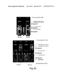 PRODUCTION OF TRIACYLGLYCERIDES, FATTY ACIDS, AND THEIR DERIVATIVES diagram and image