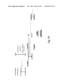 PRODUCTION OF TRIACYLGLYCERIDES, FATTY ACIDS, AND THEIR DERIVATIVES diagram and image