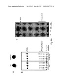 PRODUCTION OF TRIACYLGLYCERIDES, FATTY ACIDS, AND THEIR DERIVATIVES diagram and image