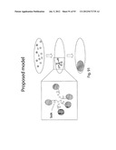 PRODUCTION OF TRIACYLGLYCERIDES, FATTY ACIDS, AND THEIR DERIVATIVES diagram and image