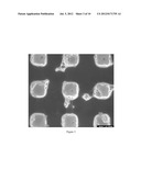 FABRICATION OF HOLLOW NANONEEDLES diagram and image