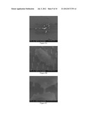 FABRICATION OF HOLLOW NANONEEDLES diagram and image