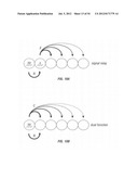 ANTIBODIES THAT SPECIFICALLY BIND HEDGEHOG-DERIVED POLYPEPTIDES diagram and image