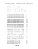 ANTIBODIES THAT SPECIFICALLY BIND HEDGEHOG-DERIVED POLYPEPTIDES diagram and image