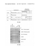 ANTIBODIES THAT SPECIFICALLY BIND HEDGEHOG-DERIVED POLYPEPTIDES diagram and image
