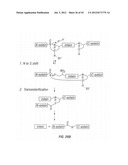 ANTIBODIES THAT SPECIFICALLY BIND HEDGEHOG-DERIVED POLYPEPTIDES diagram and image