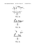 HIGHLY SENSITIVE IMMUNOASSAY WITH LARGE PARTICLE LABELS diagram and image