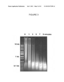 NUCLEIC ACID SAMPLE PREPARATION METHODS AND COMPOSITIONS diagram and image