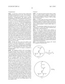 Growth Hormones with Prolonged In-Vivo Efficacy diagram and image