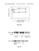 Soluble Guanylyl Cyclase a1 and a-8r Peptide as Diagnostic Markers of and     Therapeutic Targets for Prostate Cancer diagram and image