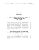 HSP90 INHIBITORS diagram and image