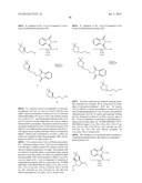 HSP90 INHIBITORS diagram and image