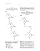 HSP90 INHIBITORS diagram and image