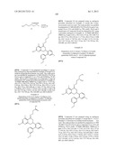 HSP90 INHIBITORS diagram and image