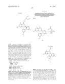 HSP90 INHIBITORS diagram and image