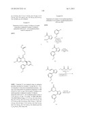 HSP90 INHIBITORS diagram and image