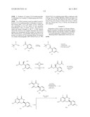 HSP90 INHIBITORS diagram and image