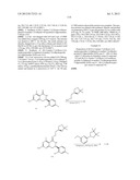 HSP90 INHIBITORS diagram and image