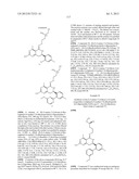 HSP90 INHIBITORS diagram and image