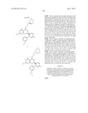 HSP90 INHIBITORS diagram and image