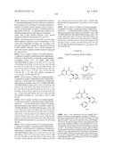 HSP90 INHIBITORS diagram and image