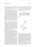 HSP90 INHIBITORS diagram and image