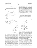 HSP90 INHIBITORS diagram and image