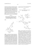 HSP90 INHIBITORS diagram and image