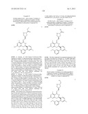 HSP90 INHIBITORS diagram and image