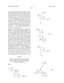 HSP90 INHIBITORS diagram and image