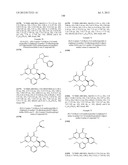 HSP90 INHIBITORS diagram and image