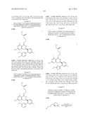 HSP90 INHIBITORS diagram and image