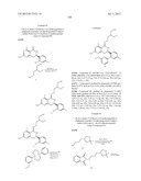 HSP90 INHIBITORS diagram and image