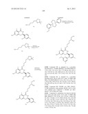 HSP90 INHIBITORS diagram and image