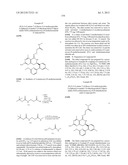 HSP90 INHIBITORS diagram and image