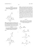 HSP90 INHIBITORS diagram and image